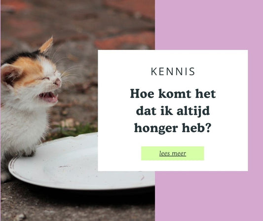 5 lifestyle factoren die jouw hongergevoel verstoren