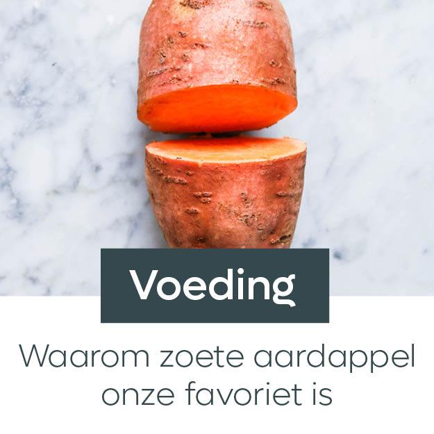 Waarom zoete aardappel onze favoriet is