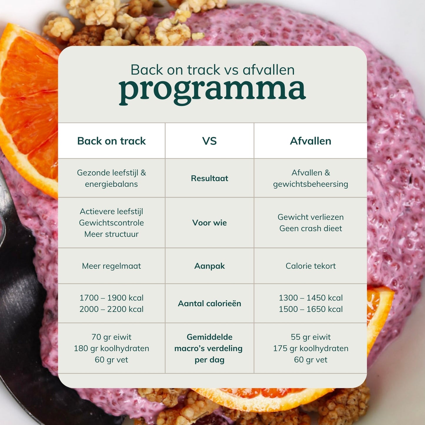 Gezond afvallen programma