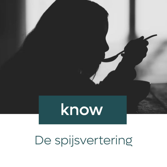 De spijsvertering