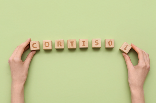 De invloed van stress (cortisol) op onze darmen