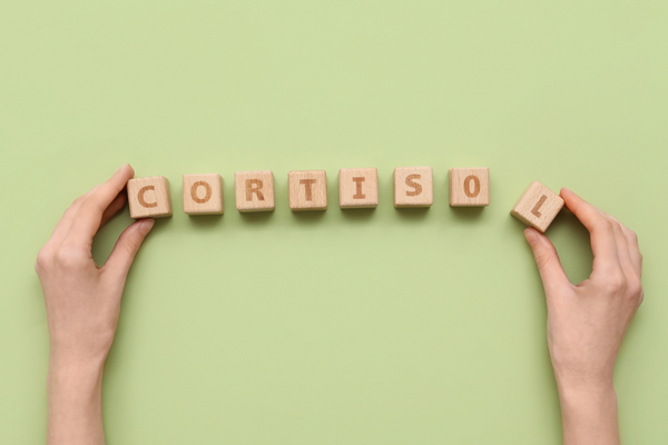De invloed van stress (cortisol) op onze darmen