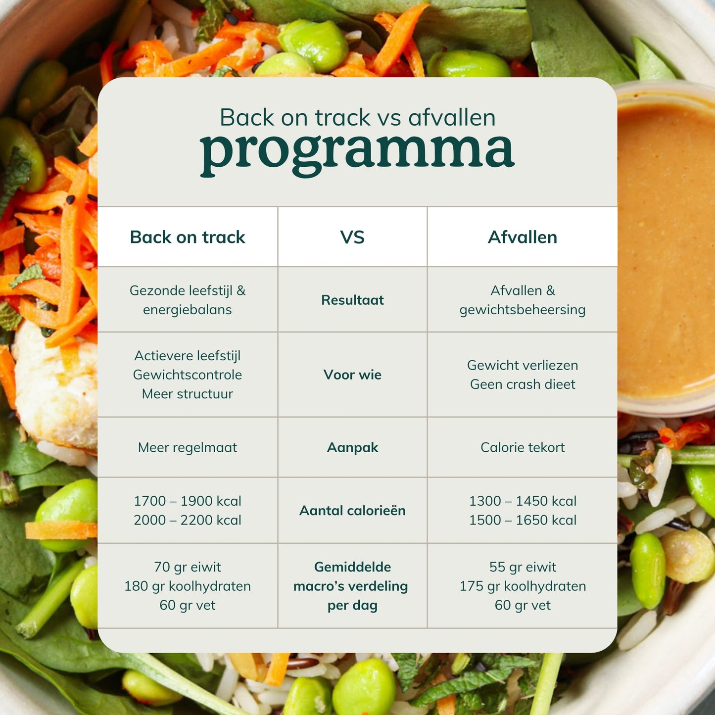 Back on track maaltijdplan