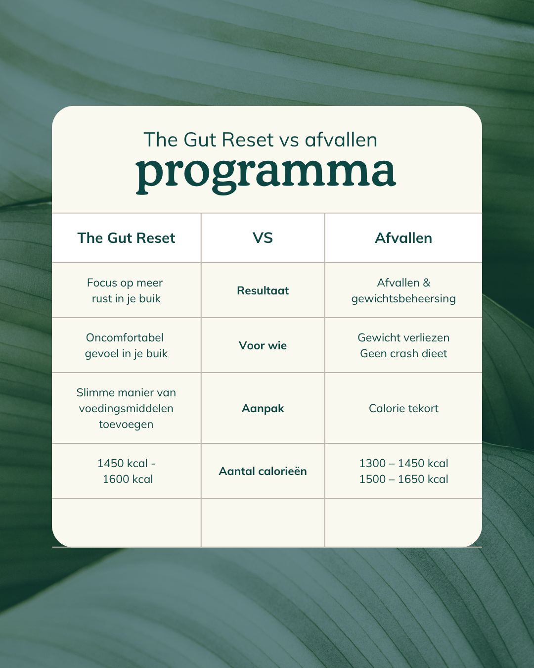 The Gut Reset