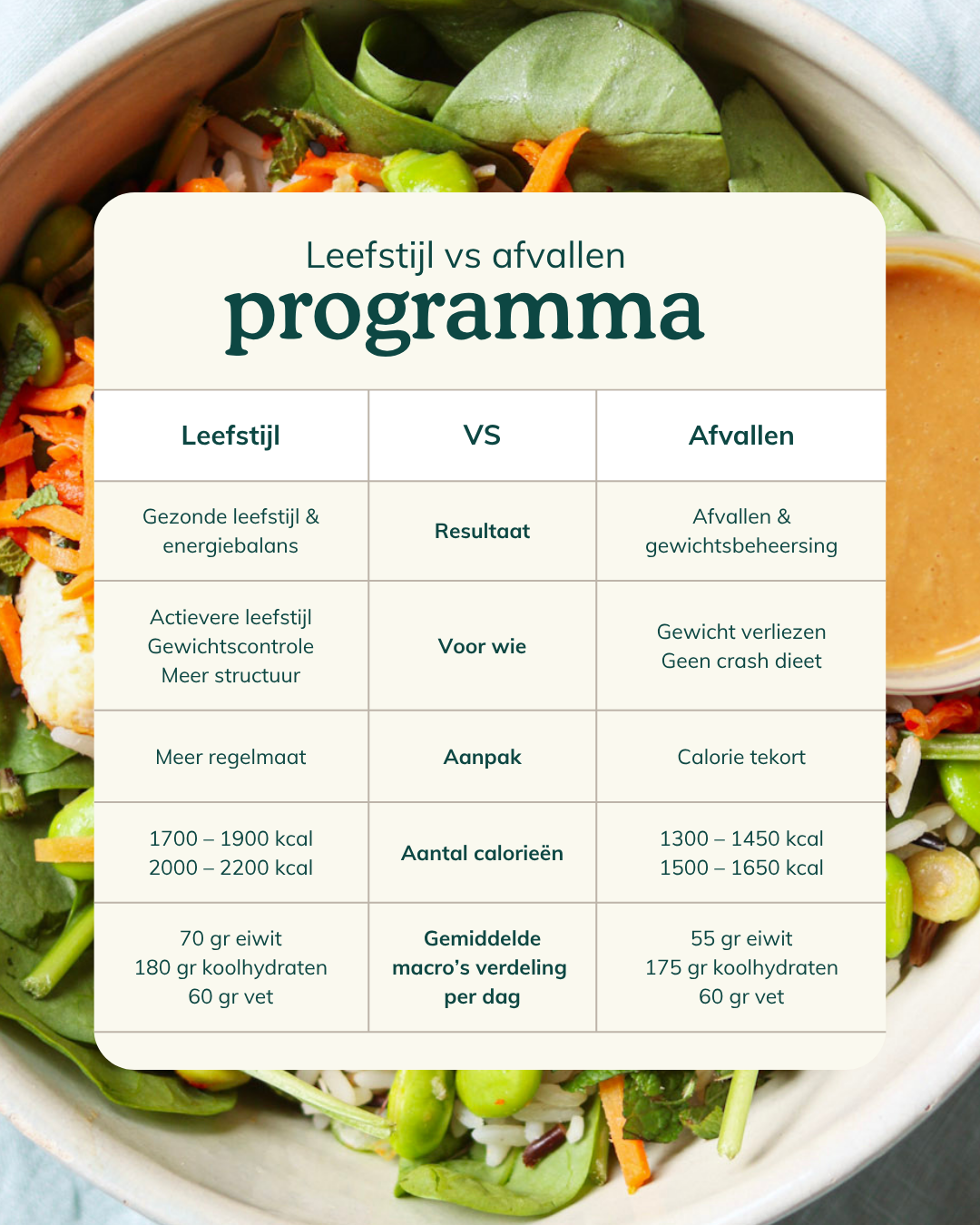 Leefstijl maaltijdplan