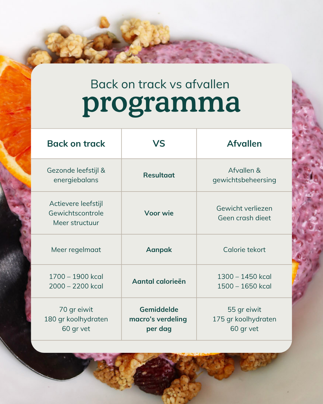 Gezond afvallen programma