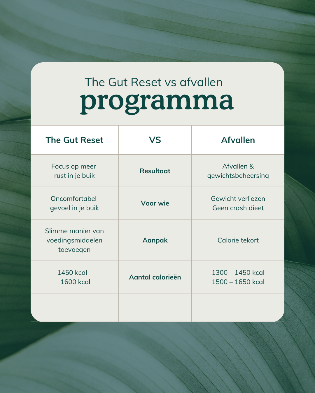 The Gut Reset